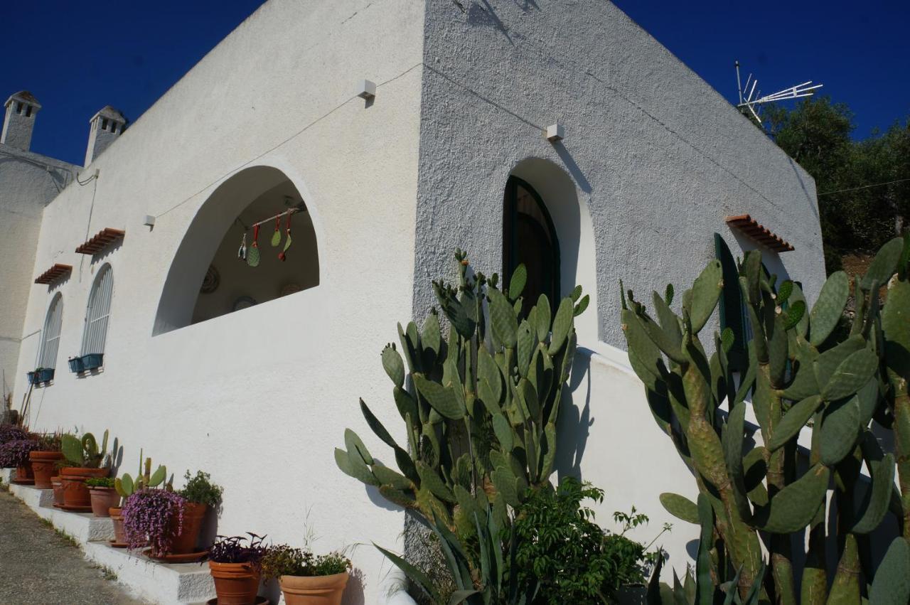 Casa Molo 13 Villa Mattinata Exterior photo